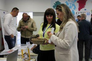 IMG_7737-300x200.jpg