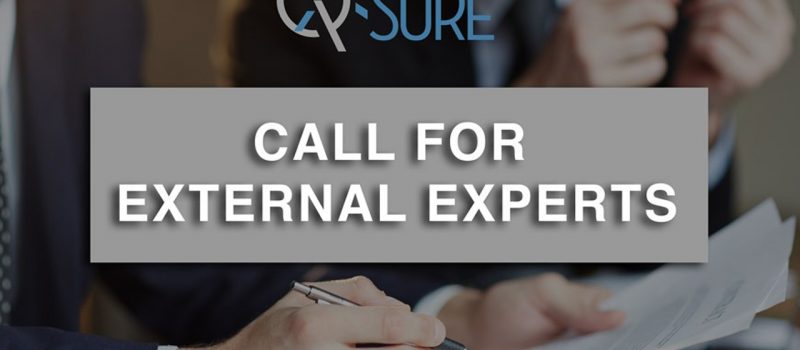 Call for External Experts